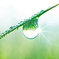 Safe & Environmentally Friendly